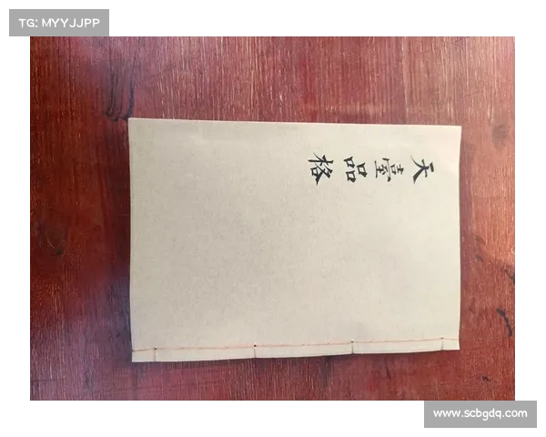 道门秘笈：挂机修真无上之法