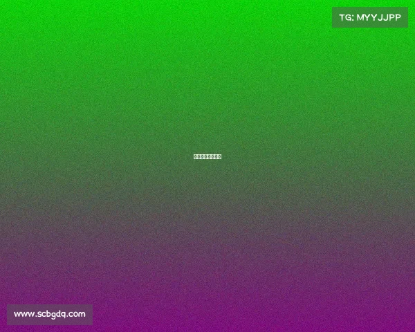 泰安电子科技大学 泰安电子科技大学